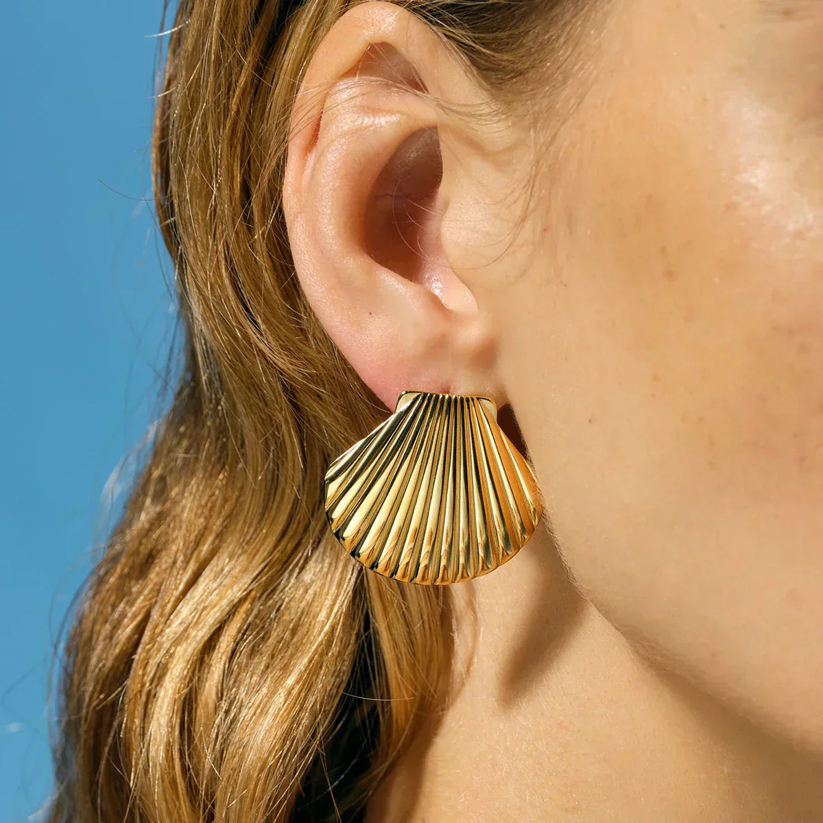 Hazel | Seashell Studs